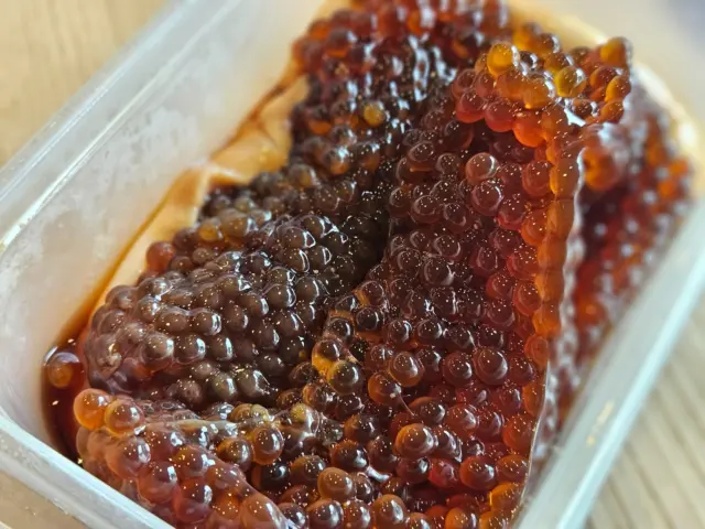 立派な天然ビワマスの筋子
独自の方法で浸けてるので食べやすく仕上がってます！
残ったら明日のビワマス丼に付けよっかな？
この時期だけですよー

 #滋賀 #大津 #ビワマス #テイクアウト #お弁当 #ランチ #ビワマス丼 #昼飲み #堅田 #真野 #海鮮 #居酒屋 #日本酒 #日本酒好きと繋がりたい #産直鮮魚 #宴会 #貸し切りOK #滋賀グルメ #大津グルメ #隠れ家居酒屋 #堅田グルメ #和食 #いよもんで美味しい魚と日本酒 #海鮮丼 #レストラン #すじこ #ビワマスの筋子 #イクラ